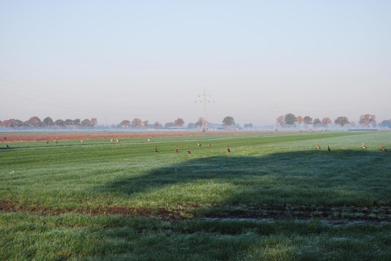 Hoeve De Heemser Parel Heemserveen ภายนอก รูปภาพ